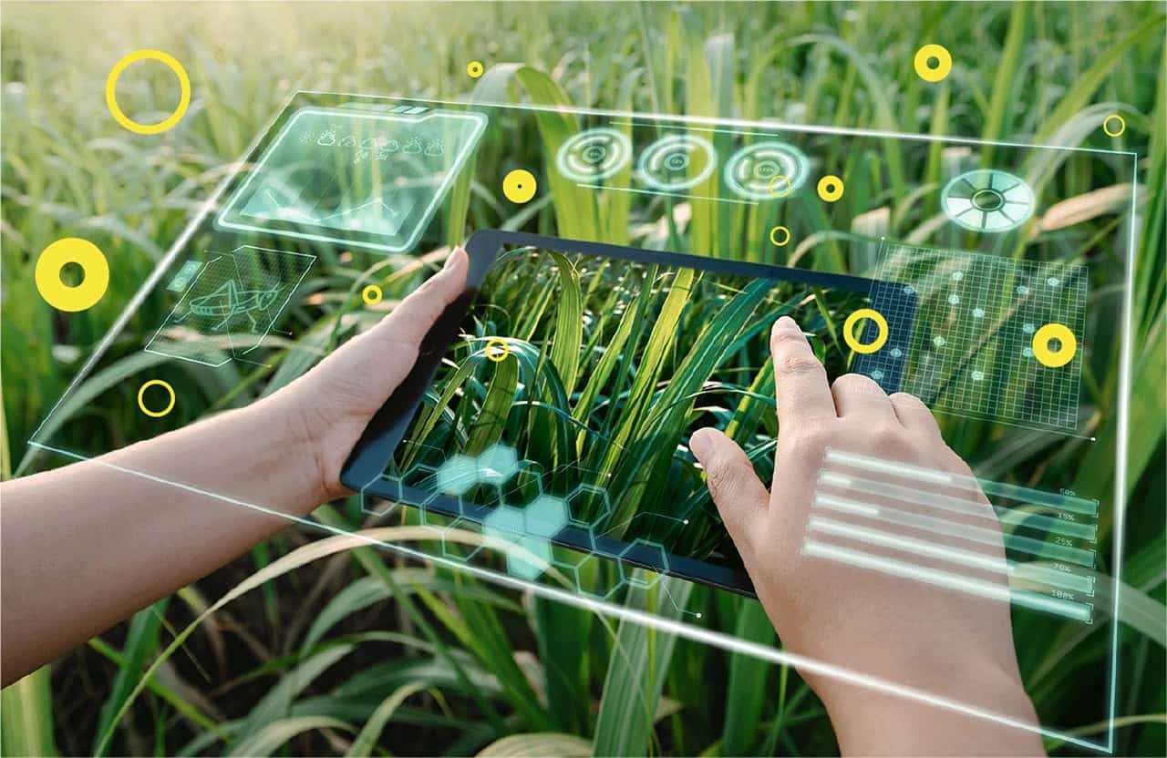 Agritech: The Future of Food