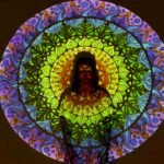 Psychedelics and Therapy: Healing the Mind