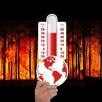 Climate Adaptation vs. Mitigation